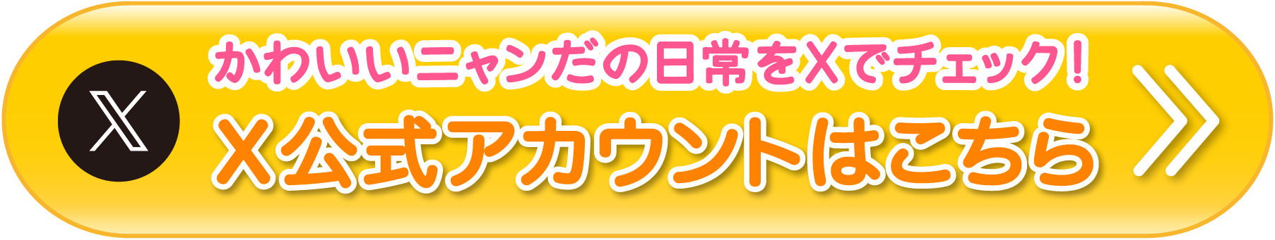 かわいいニャンだの日常をXでチェック！X公式アカウントはこちら